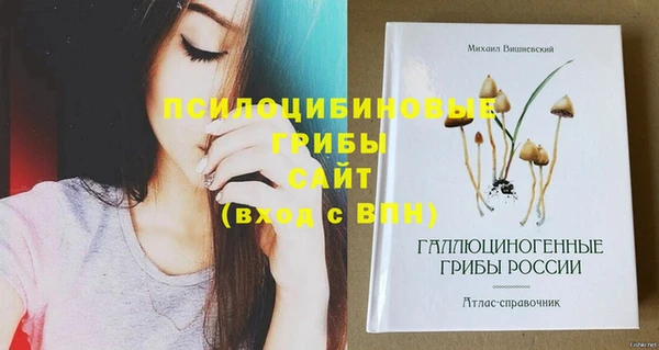 СК Краснотурьинск