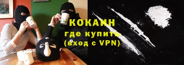дмт Краснослободск