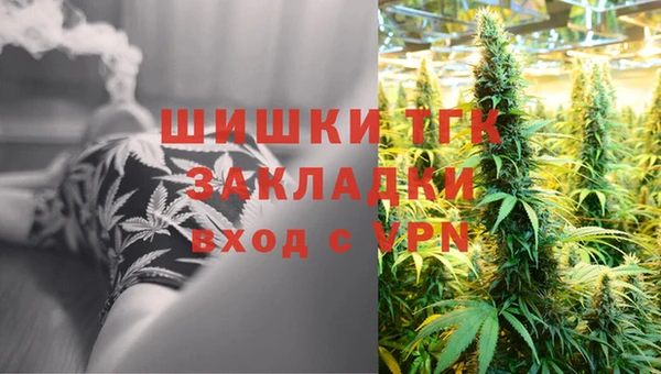 дмт Краснослободск