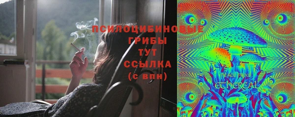 дмт Краснослободск