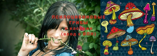дмт Краснослободск
