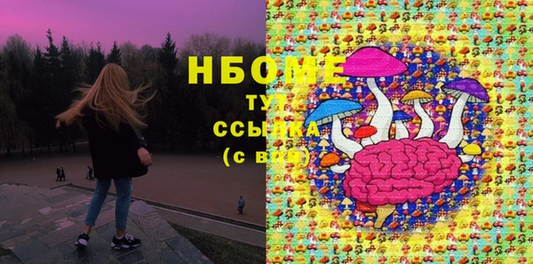 дмт Краснослободск